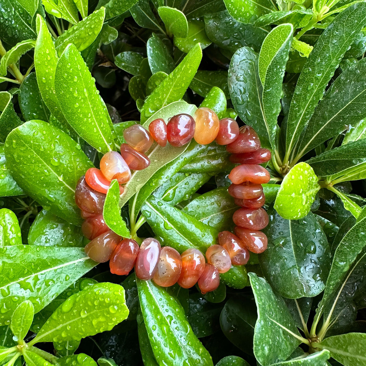 Tumbled Carnelian bracelet for her