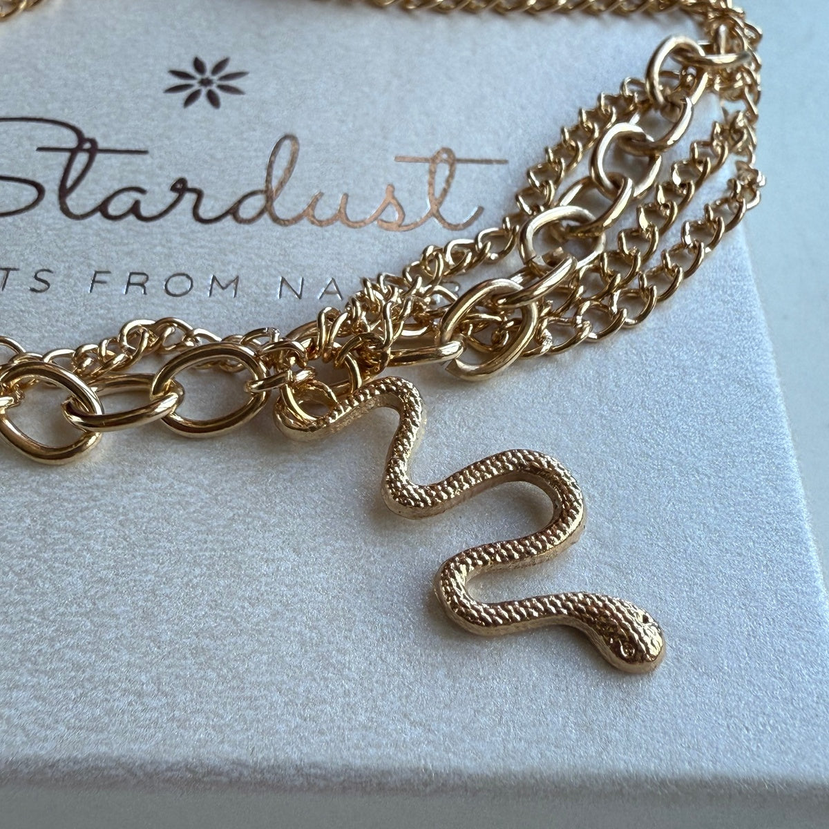Ankle Bracelet with Snake Charm