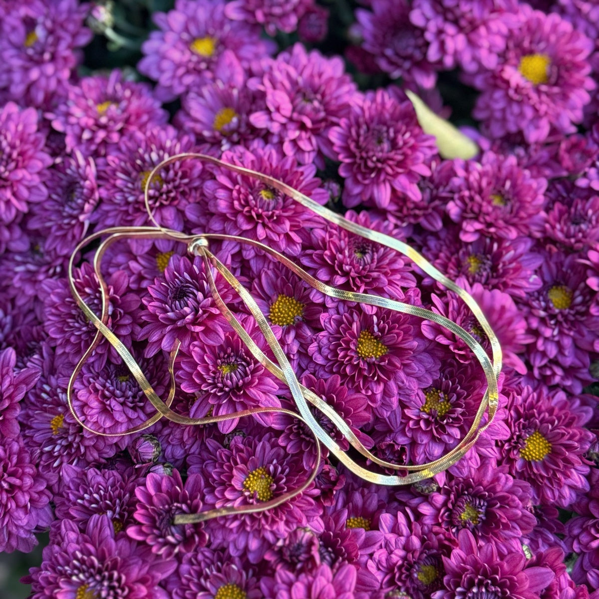 Layering Snake Chain Necklace 18K Gold Plated