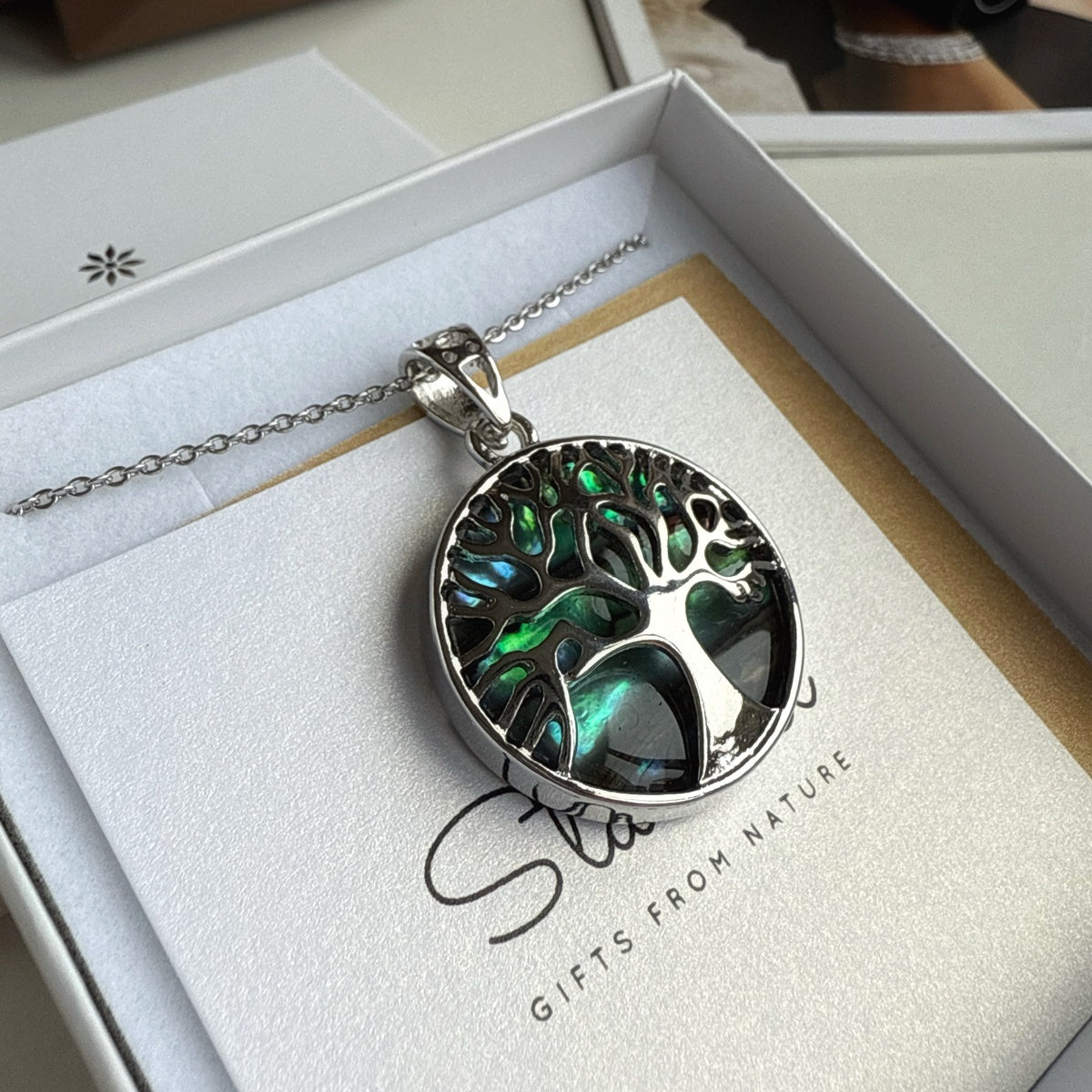 Abalone Shell necklace