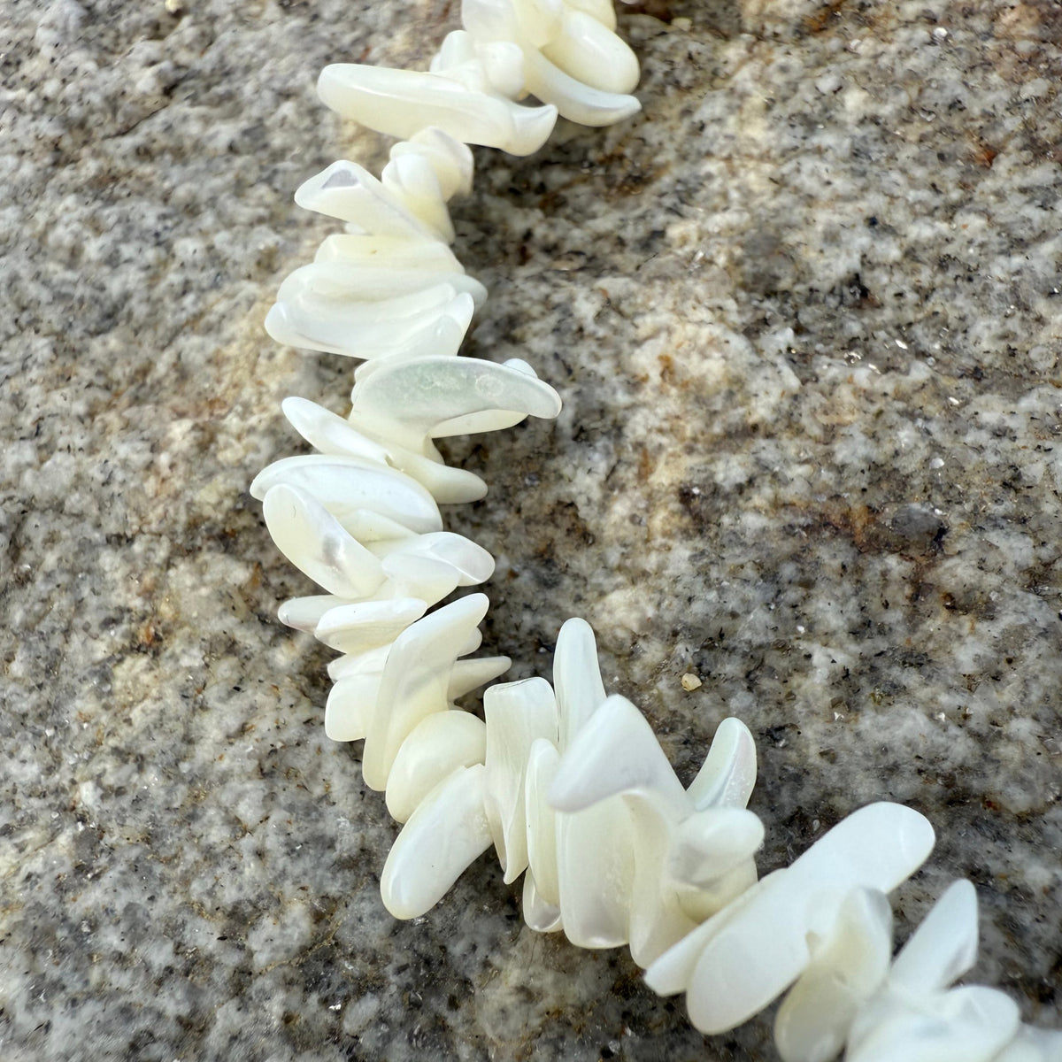 Mother of Pearl Choker Necklace, Natural Shell Choker