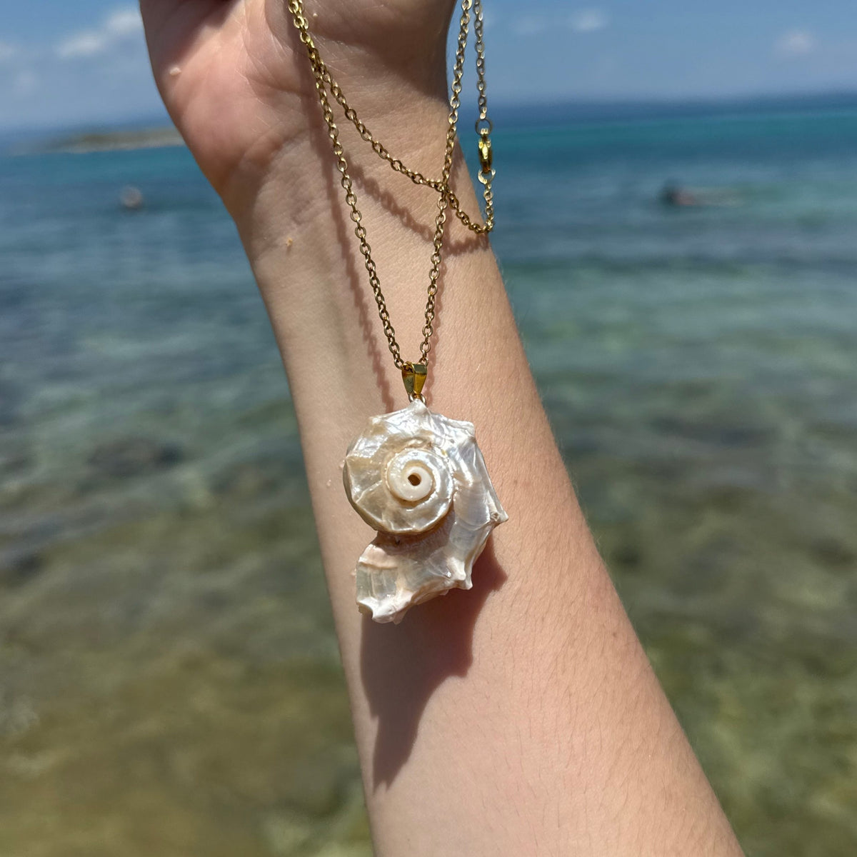 Natural Shell Pendant Necklace, Coastal Statement Necklace | 18K Gold Plated