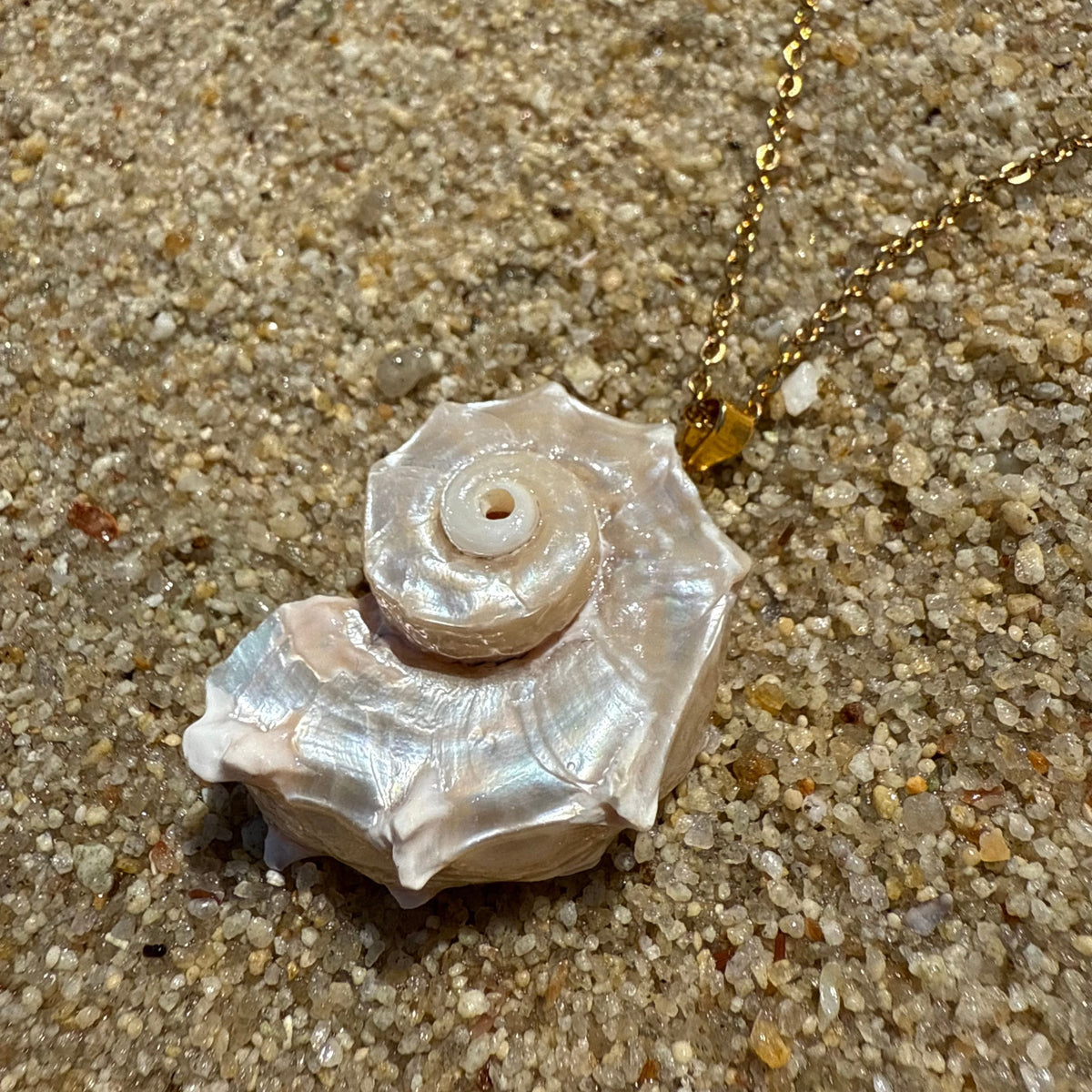 Natural Shell Pendant Necklace